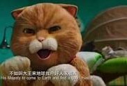 喵星人粤语在线观看,萌宠来袭，笑料横生！