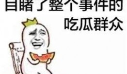 如果爱吃瓜吃饼群众小说免费阅读,群众小说免费阅读之旅